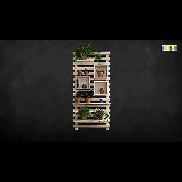 BAUHAUS Astigarraga Tetris Wandregal L X B X H: 40 X 25 X 9,5 Cm, Kiefernholz 4 BAUHAUS Astigarraga Tetris Wandregal L X B X H: 40 X 25 X 9,5 Cm, Kiefernholz – Bild 4