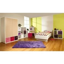 BAUHAUS Phönix Prana Container L X B X H: 34 X 34 X 34 Cm, Lila, Anzahl Türen: 1 Stk. 5 BAUHAUS Phönix Prana Container L X B X H: 34 X 34 X 34 Cm, Lila, Anzahl Türen: 1 Stk. -BAUHAUS Shop 12 1242