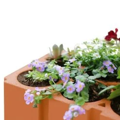 BAUHAUS Weinregal 36,5 X 24 X 24,9 Cm, Anzahl Flaschen: 6 Stk., Ton -BAUHAUS Shop 12 1424