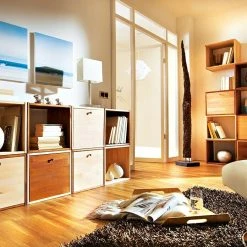 BAUHAUS Regalux Regaltür & Rückwand-Set 41,5 X 34,5 Cm, Buche -BAUHAUS Shop 12 1527