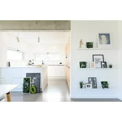 BAUHAUS StyleGreen Pflanzenbild Dschungelquadrate, L X B X H: 22 X 22 X 4 Cm 11 BAUHAUS StyleGreen Pflanzenbild Dschungelquadrate, L X B X H: 22 X 22 X 4 Cm -BAUHAUS Shop 12 158