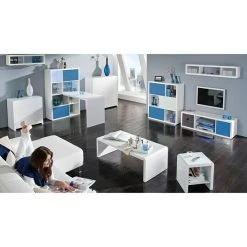 BAUHAUS Phönix Atlanta Container L X B X H: 38 X 34 X 34 Cm, Blau -BAUHAUS Shop 12 1640