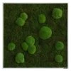 BAUHAUS StyleGreen Moosbild 80 X 80 Cm