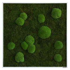 BAUHAUS StyleGreen Moosbild 80 X 80 Cm