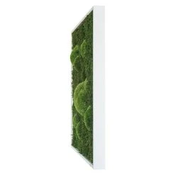BAUHAUS StyleGreen Moosbild 80 X 80 Cm -BAUHAUS Shop 12 177