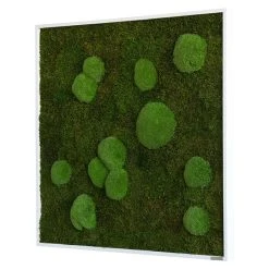 BAUHAUS StyleGreen Moosbild 80 X 80 Cm -BAUHAUS Shop 12 179