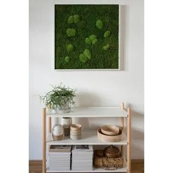 BAUHAUS StyleGreen Moosbild 80 X 80 Cm -BAUHAUS Shop 12 180