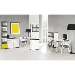 BAUHAUS Phönix Chicago Türelement L X B X H: 1,6 X 40 X 114 Cm, Passend Für: Phönix Chicago Regal, Weiß/Schwarz 11 BAUHAUS Phönix Chicago Türelement L X B X H: 1,6 X 40 X 114 Cm, Passend Für: Phönix Chicago Regal, Weiß/Schwarz -BAUHAUS Shop 12 1959