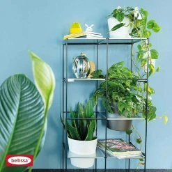 BAUHAUS Bellissa Regalsystem Filo 2x4 59 X 31 X 117 Cm 11 BAUHAUS Bellissa Regalsystem Filo 2x4 59 X 31 X 117 Cm -BAUHAUS Shop 12 1981