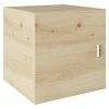 BAUHAUS Phönix Fortuna Container L X B X H: 33,4 X 34,1 X 34,1 Cm, Eiche, Passend Für: Phönix Regale Fortuna