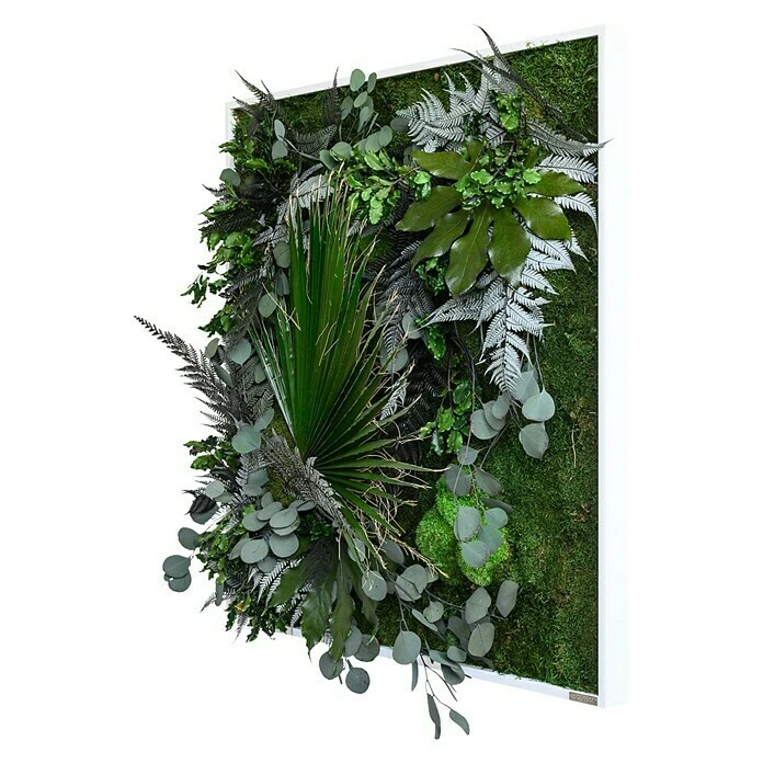 BAUHAUS StyleGreen Pflanzenbild 80 X 80 Cm 2 BAUHAUS StyleGreen Pflanzenbild 80 X 80 Cm – Bild 2