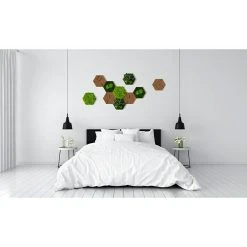 BAUHAUS StyleGreen Moosbild Hexagon 19 X 22 Cm, Null -BAUHAUS Shop 12 259