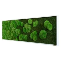 BAUHAUS StyleGreen Moosbild 140 X 40 Cm -BAUHAUS Shop 12 268