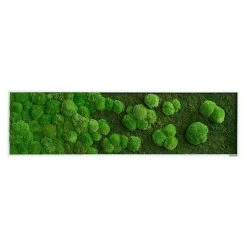BAUHAUS StyleGreen Moosbild 140 X 40 Cm -BAUHAUS Shop 12 269