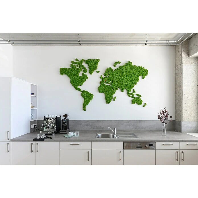 BAUHAUS StyleGreen Moosbild Weltkarte 230 X 135 Cm 5 BAUHAUS StyleGreen Moosbild Weltkarte 230 X 135 Cm – Bild 5
