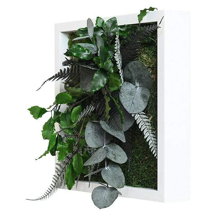 BAUHAUS StyleGreen Pflanzenbild 22 X 22 Cm 2 BAUHAUS StyleGreen Pflanzenbild 22 X 22 Cm – Bild 2