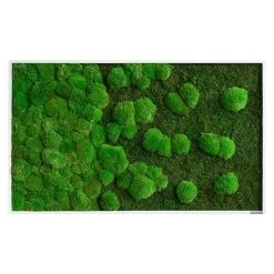 BAUHAUS StyleGreen Moosbild 60 X 100 Cm -BAUHAUS Shop 12 427