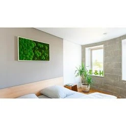BAUHAUS StyleGreen Moosbild 60 X 100 Cm -BAUHAUS Shop 12 429