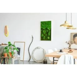 BAUHAUS StyleGreen Moosbild 60 X 100 Cm -BAUHAUS Shop 12 430