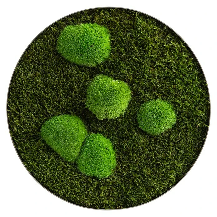 BAUHAUS StyleGreen Moosbild 34 X 6 Cm 1 BAUHAUS StyleGreen Moosbild 34 X 6 Cm