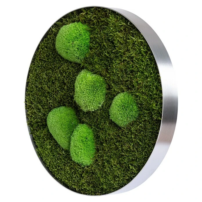 BAUHAUS StyleGreen Moosbild 34 X 6 Cm 2 BAUHAUS StyleGreen Moosbild 34 X 6 Cm – Bild 2