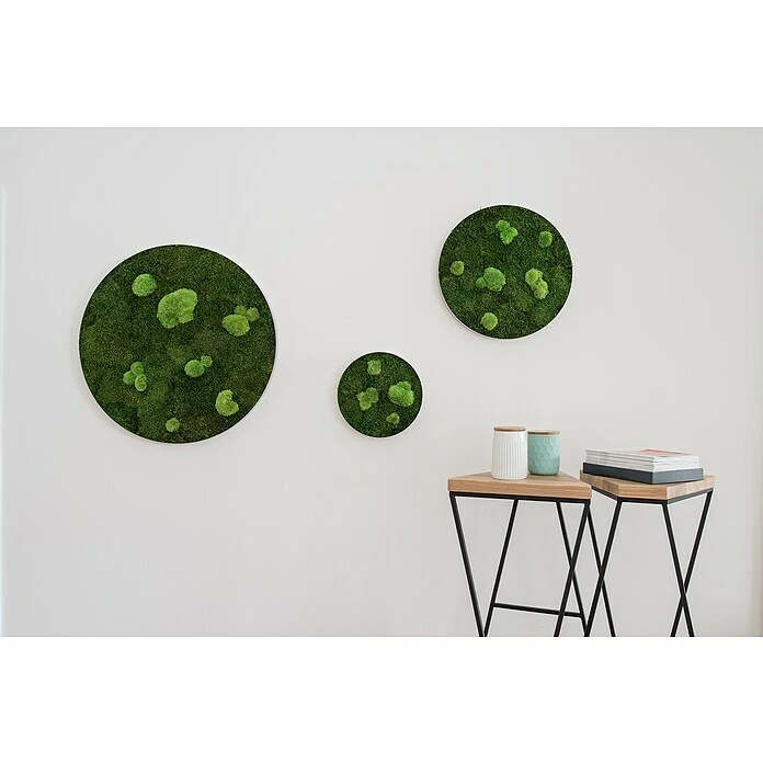 BAUHAUS StyleGreen Moosbild 34 X 6 Cm 5 BAUHAUS StyleGreen Moosbild 34 X 6 Cm – Bild 5