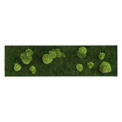 BAUHAUS StyleGreen Moosbild 40 X 140 Cm