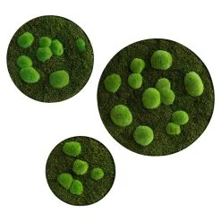 BAUHAUS StyleGreen Pflanzenbild Mooskreise
