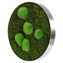 BAUHAUS StyleGreen Pflanzenbild Mooskreise -BAUHAUS Shop 12 512