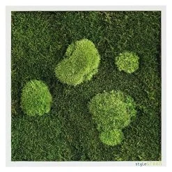 BAUHAUS StyleGreen Moosbild 35 X 35 Cm