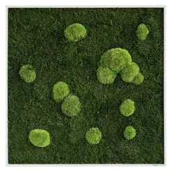 BAUHAUS StyleGreen Moosbild 35 X 35 Cm -BAUHAUS Shop 12 552