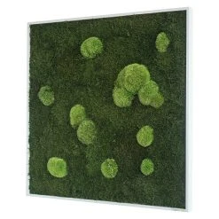 BAUHAUS StyleGreen Moosbild 35 X 35 Cm -BAUHAUS Shop 12 554