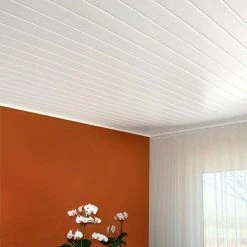 BAUHAUS BaukulitVox Profi-Line Verkleidungspaneel B12 Weiß, 3.000 X 125 X 9 Mm -BAUHAUS Shop 12 648