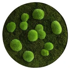 BAUHAUS StyleGreen Moosbild 80 X 6 Cm