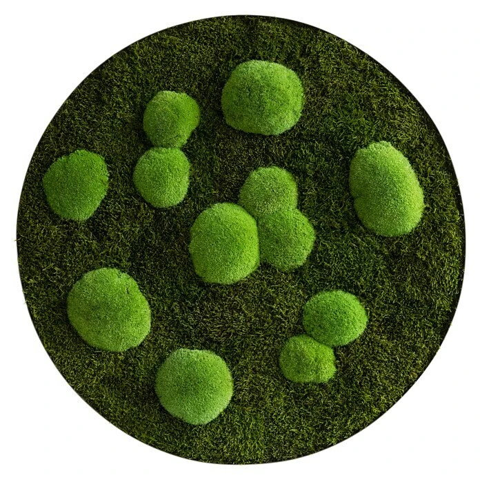 BAUHAUS StyleGreen Moosbild 80 X 6 Cm 1 BAUHAUS StyleGreen Moosbild 80 X 6 Cm