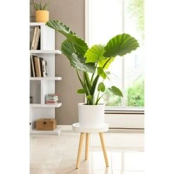 BAUHAUS Phönix Beistelltisch Buffalo Ø X H: 32 X 35 Cm, Weiß -BAUHAUS Shop 12 723