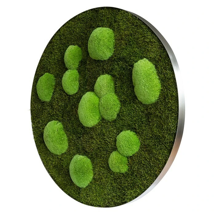 BAUHAUS StyleGreen Moosbild 80 X 6 Cm 2 BAUHAUS StyleGreen Moosbild 80 X 6 Cm – Bild 2