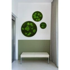 BAUHAUS StyleGreen Moosbild 80 X 6 Cm 7 BAUHAUS StyleGreen Moosbild 80 X 6 Cm -BAUHAUS Shop 12 74