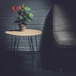 BAUHAUS Beistelltisch Ø X H: 48 X 45 Cm, Mitteldichte Holzfaserplatte (MDF) 9 BAUHAUS Beistelltisch Ø X H: 48 X 45 Cm, Mitteldichte Holzfaserplatte (MDF) -BAUHAUS Shop 12 745