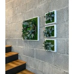 BAUHAUS StyleGreen Pflanzenbild 55 X 55 Cm 8 BAUHAUS StyleGreen Pflanzenbild 55 X 55 Cm -BAUHAUS Shop 12 87