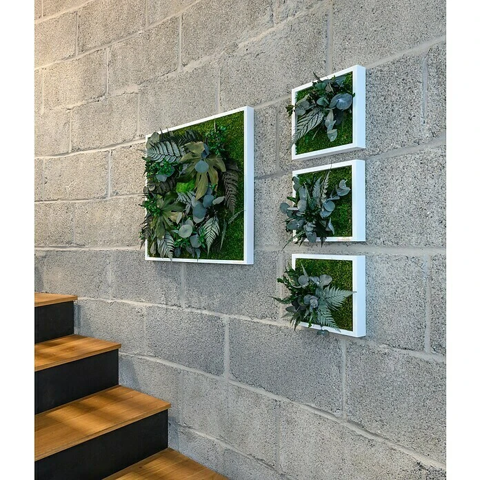 BAUHAUS StyleGreen Pflanzenbild 55 X 55 Cm 3 BAUHAUS StyleGreen Pflanzenbild 55 X 55 Cm – Bild 3